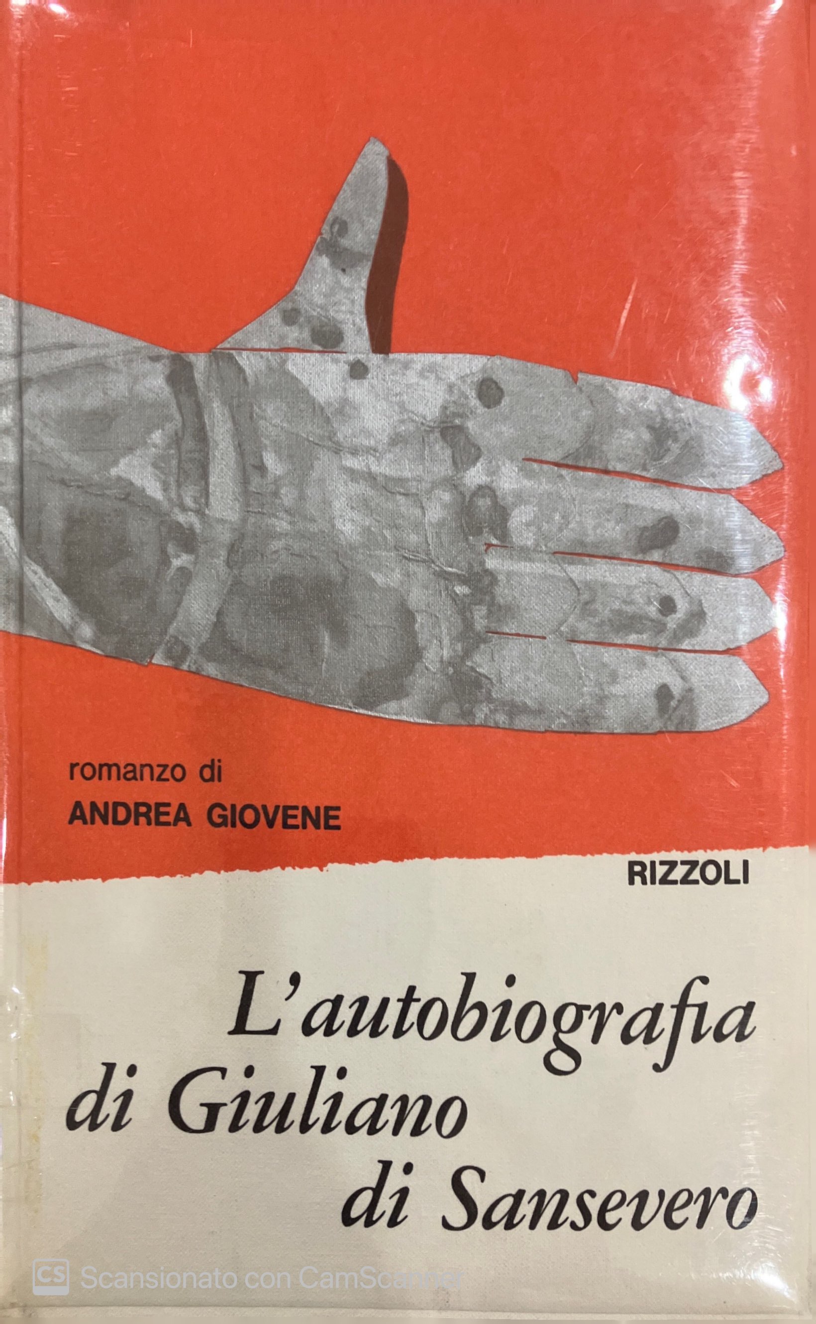 L' AUTOBIOGRAFIA DI GIULIANO SANSEVERO VOL. V